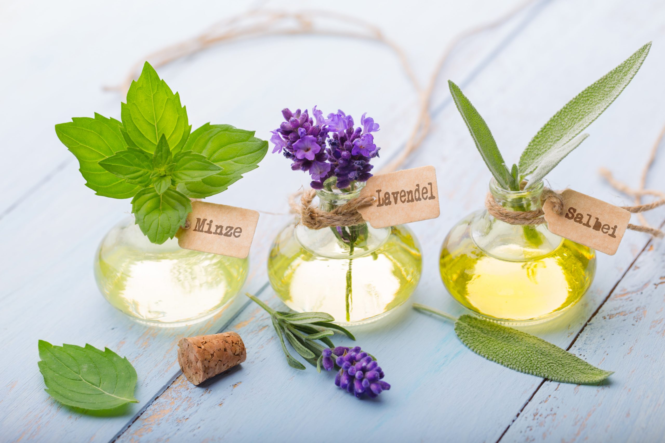 Aromatherapie Holi Livits Aromatherapie Holi Livits